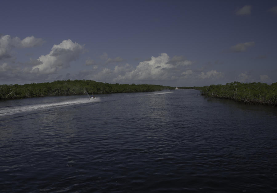 Jet Through the Mangroves Photograph by Judy Hall-Folde