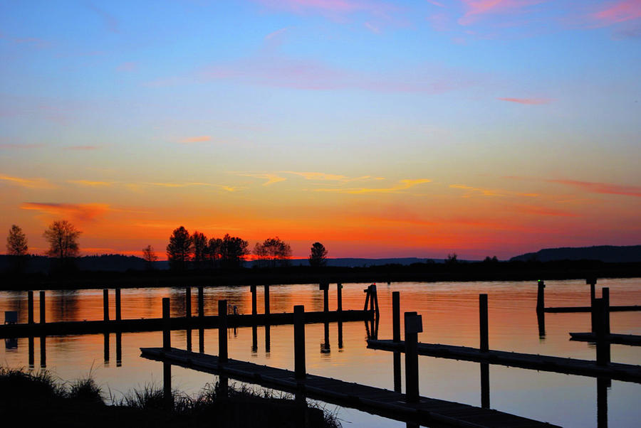 Jetty Island Too Photograph by Brian OKelly