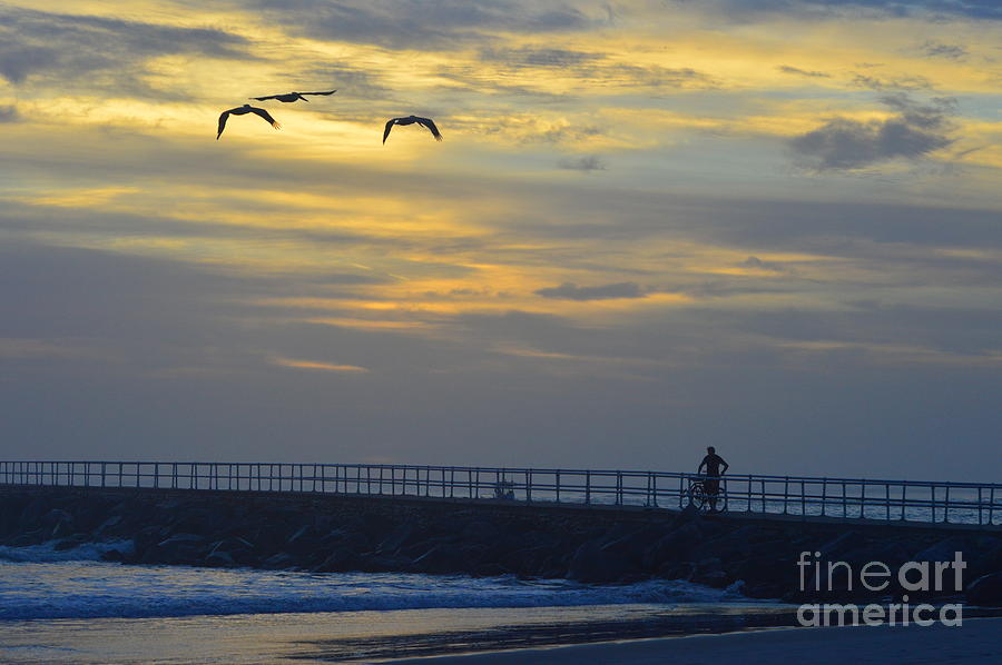Jetty sunrise with Pelicans and cyclist 12-27-15 Photograph by Julianne Felton