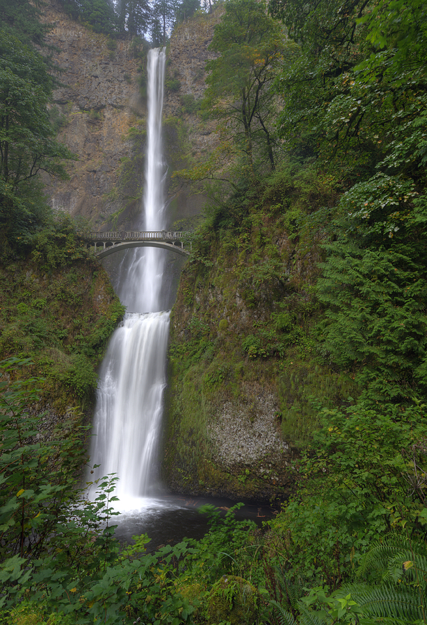 Jewel of Oregon Photograph by Loree Johnson - Pixels