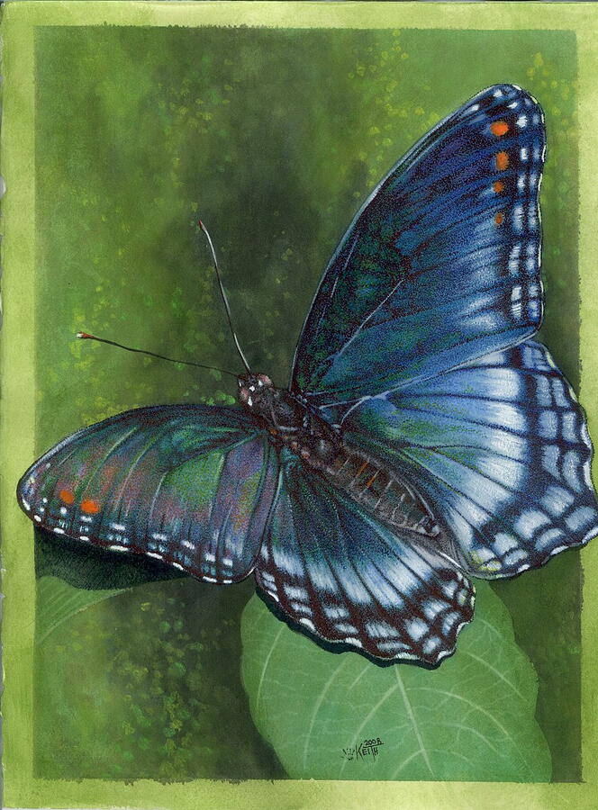Insects Mixed Media - Jewel Tones by Barbara Keith