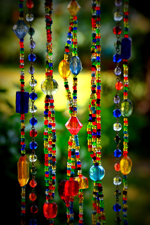 Jewels in the Sun Photograph by Debra Martz