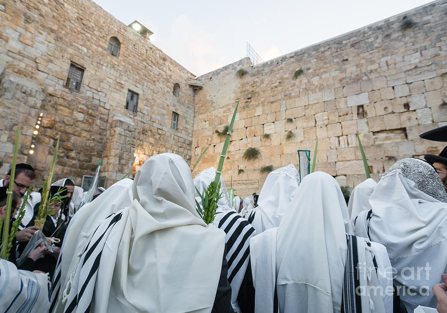 Holiday Photograph - Jewish Sunrise Prayers At The Western Wall, Israel 10 by Jeffrey Worthington