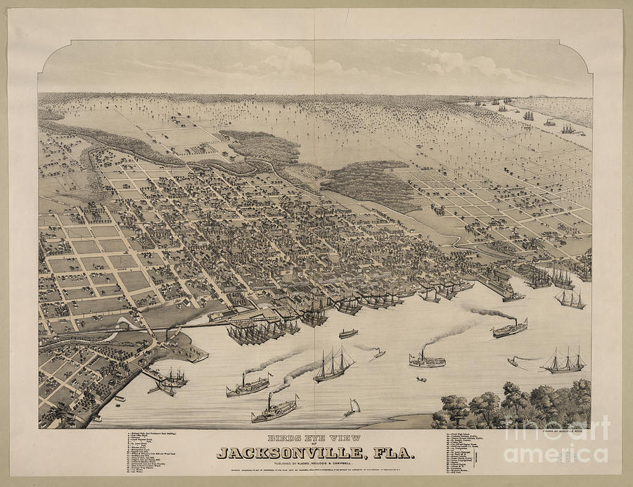 Jacksonville FLA 1876 Photograph by Dale Powell