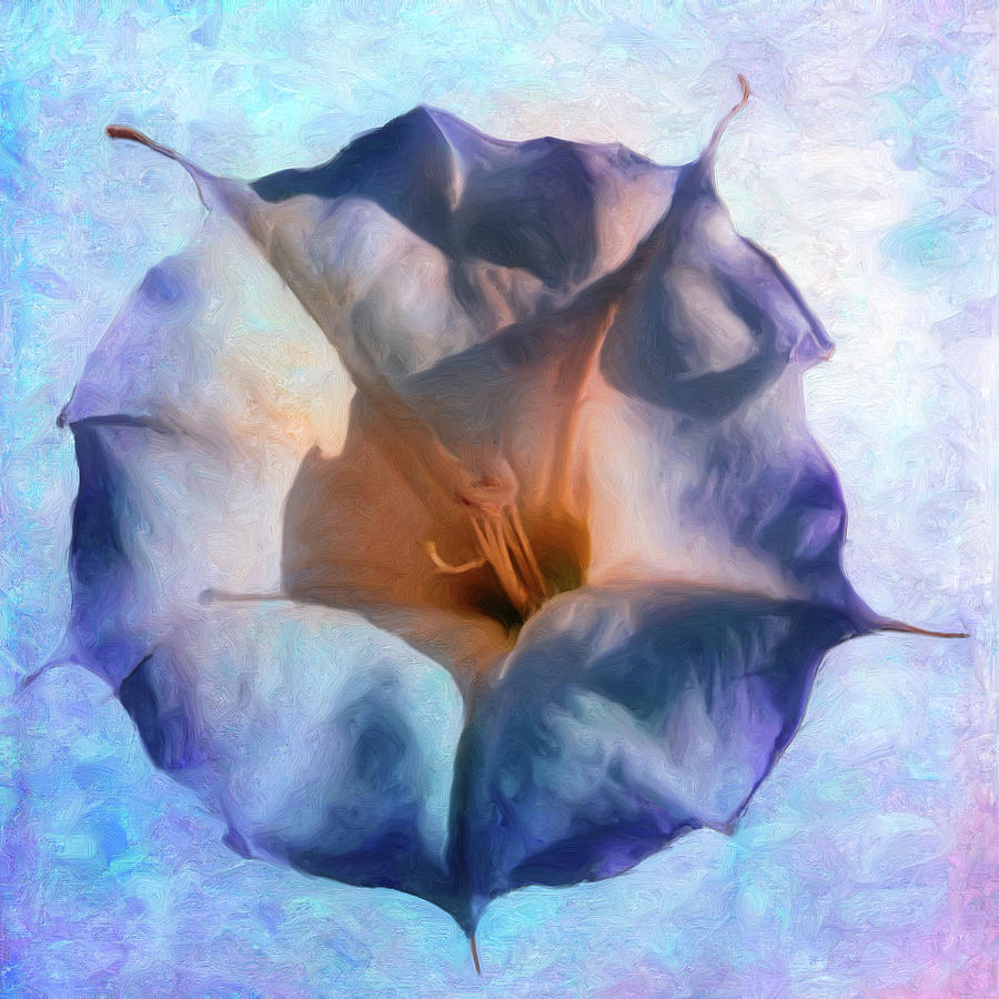 Jimsonweed Bloom Painting by Sandra Selle Rodriguez