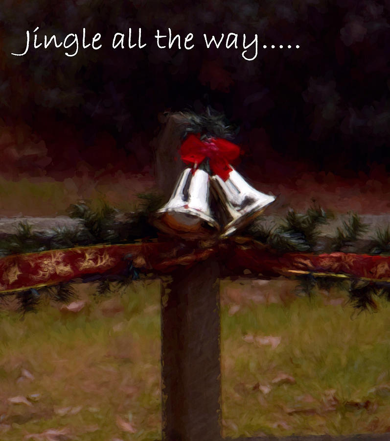 Jingle All The Way Photograph by Tricia Marchlik