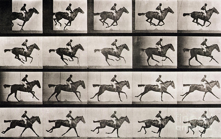 Black And White Photograph - Jockey on a galloping horse by Eadweard Muybridge
