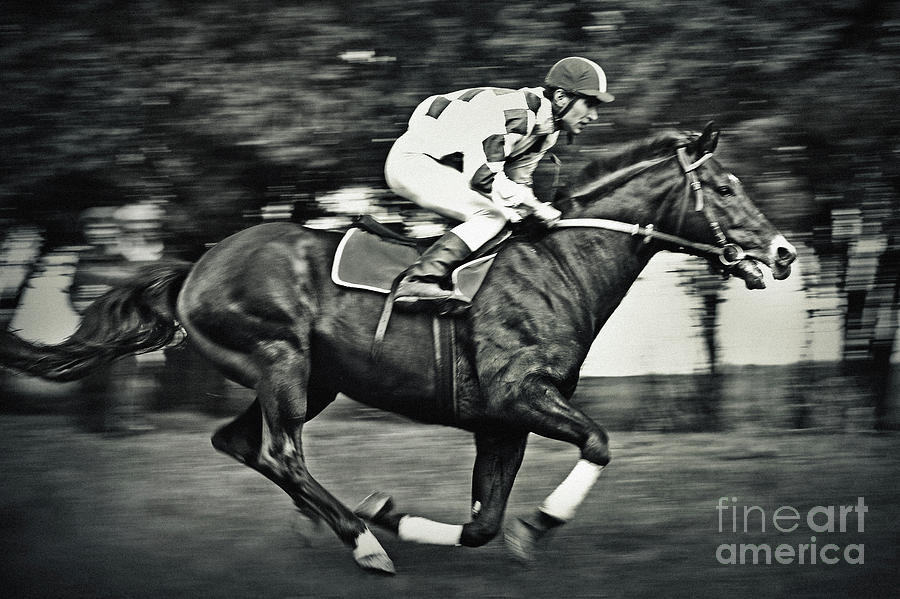 Jockey Riding Gamble Horse Photograph by Dimitar Hristov