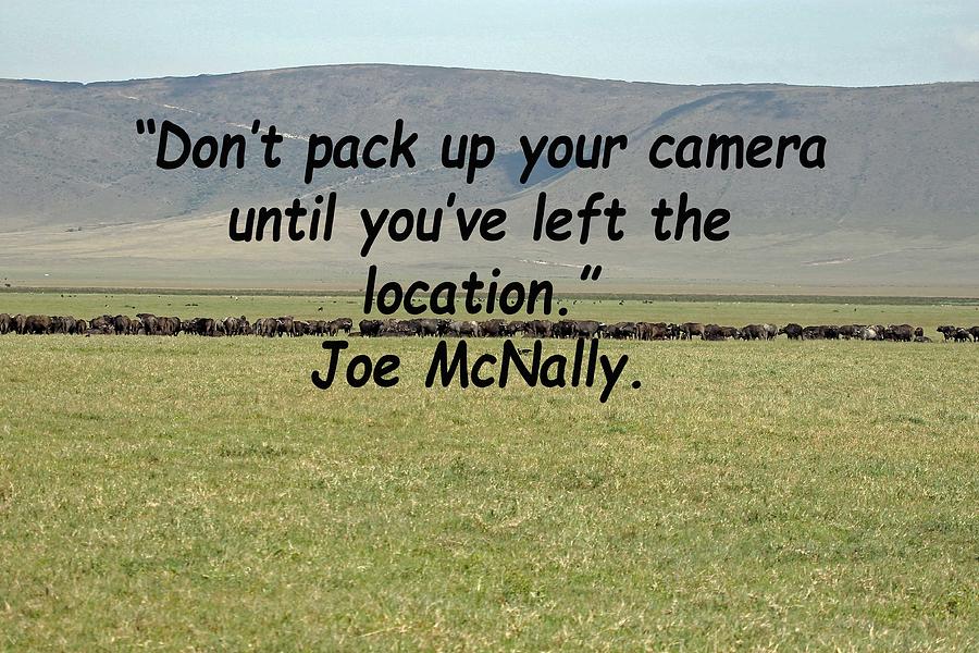 Joe McNally Quote Photograph by Tony Murtagh