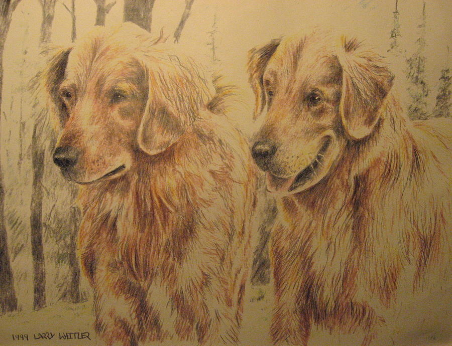 Joes Dogs Drawing by Larry Whitler
