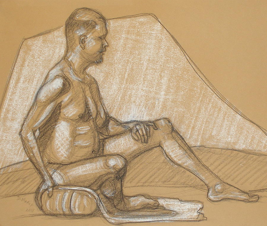 Joey Seated on Pillow Drawing by Donelli  DiMaria