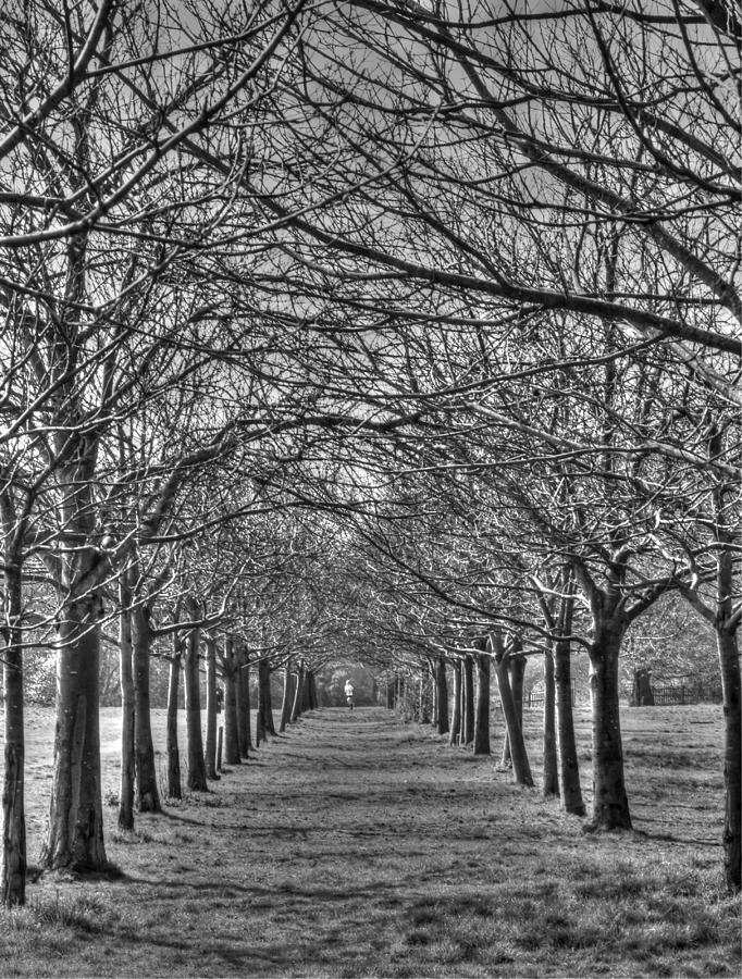 Jogger in the Park Photograph by David French | Fine Art America