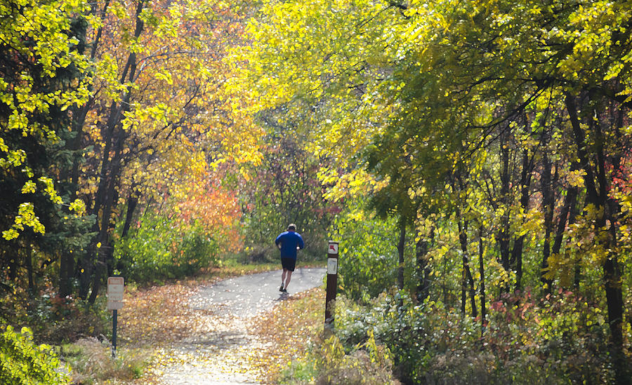 Jogger on Nature Trail in Autumn Photograph by Lynn Hansen
