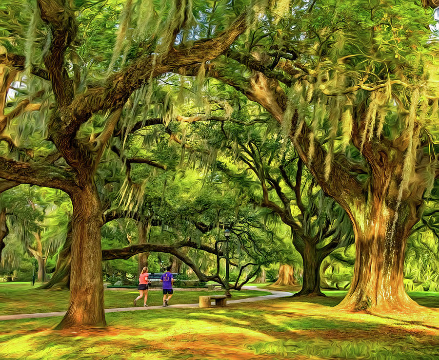 Jogging in City Park - New Orleans - Paint Photograph by Steve Harrington