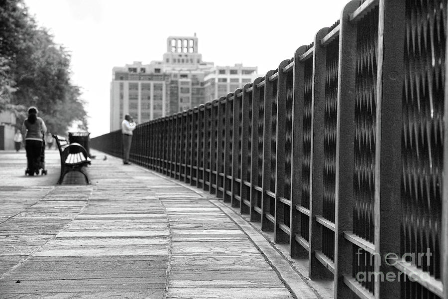 Jogging Pathway Battery Park BW Photograph by Chuck Kuhn