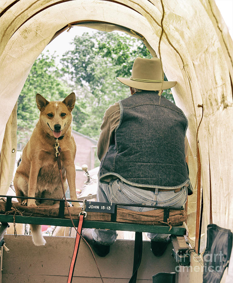 Cowboy Photograph - John 1513 And His Dog by Steven Digman Cowboy Photograph - John 1513 And His Dog by Steven Digman
