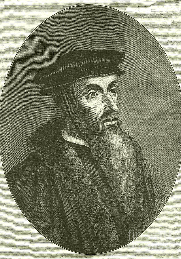 John Calvin Drawing by English School