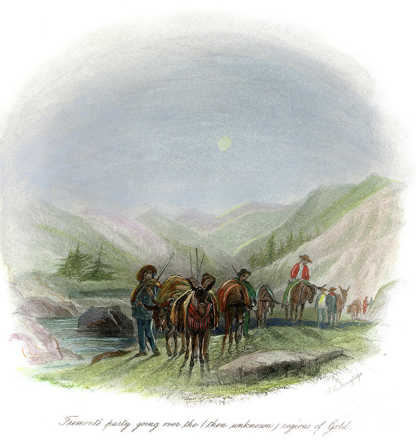 Horse Drawing - John Charles Fremont by Granger