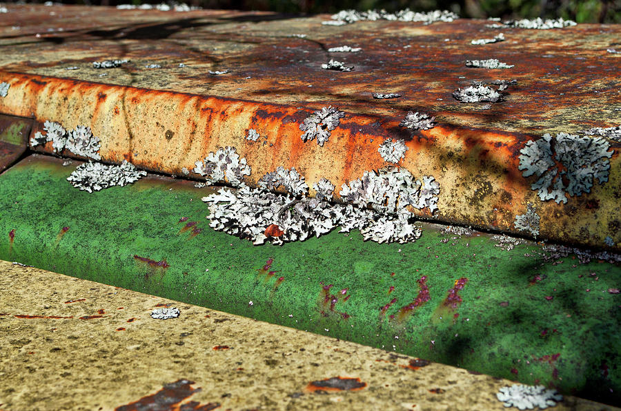 John Deere Green and Rust Photograph by Cathy Mahnke