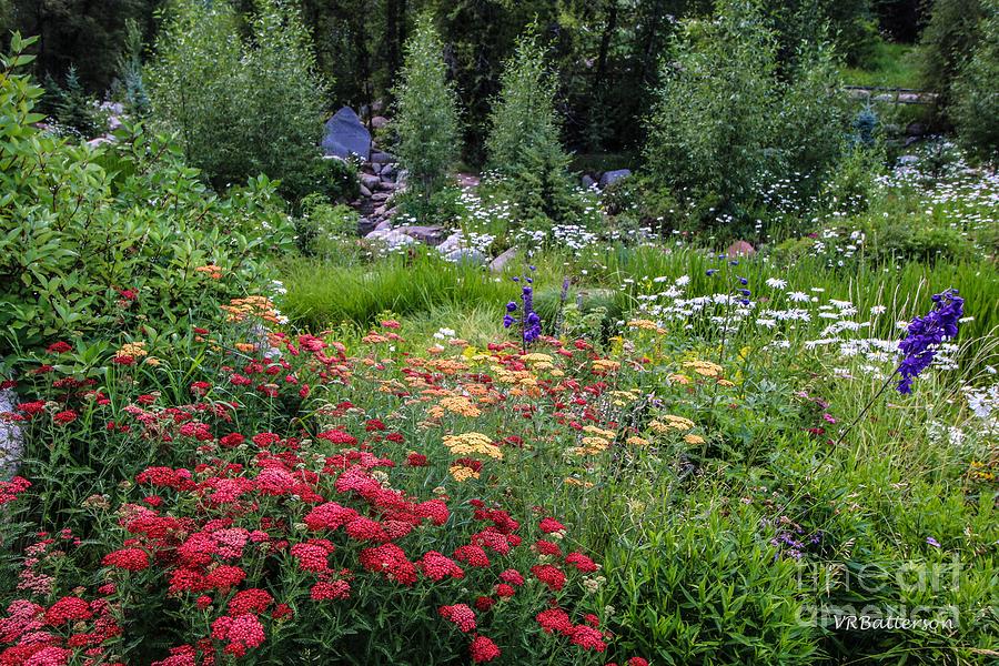 John Denver Sanctuary Flowers Three Photograph by Veronica Batterson