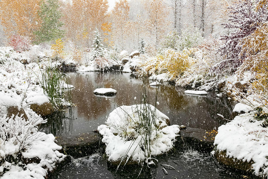 John Denver Sanctuary in Snow Photograph by Jemmy Archer