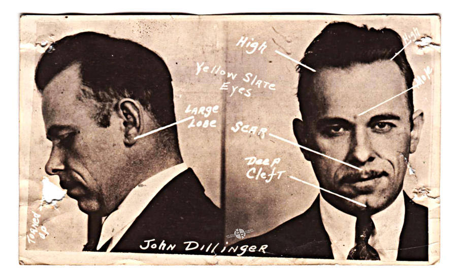 Black And White Painting - John Dillinger Mug Shot Identifying Features by Tony Rubino