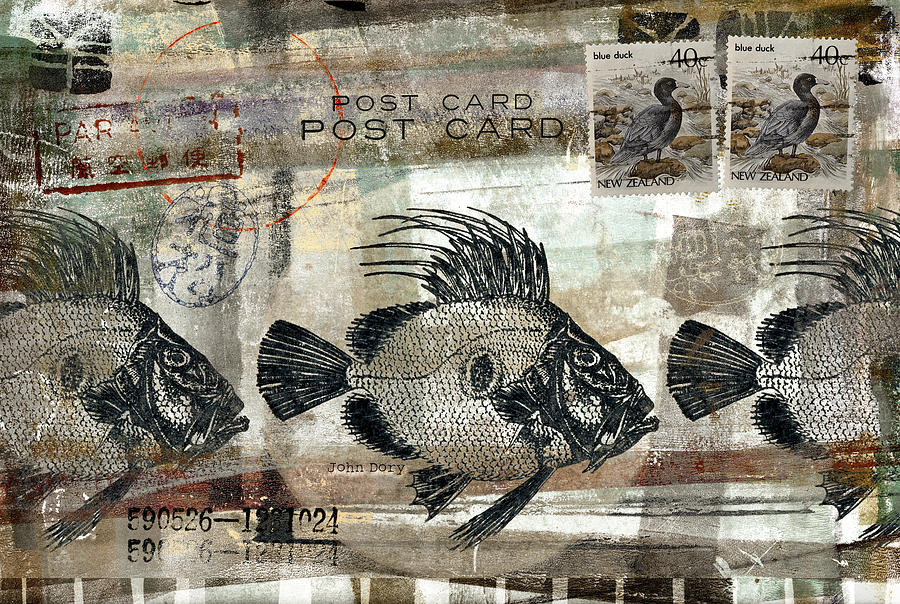 Fish Photograph - John Dory Fish Postcard by Carol Leigh