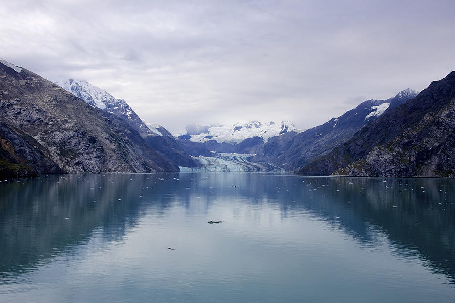 John Hopkins Glacier 2 Photograph by Richard J Cassato