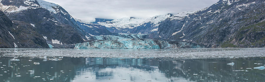 John Hopkins Glacier Photograph by David Kirby