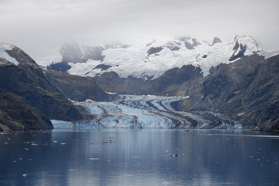 John Hopkins Glacier Photograph by Richard J Cassato