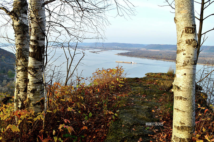John Latsch View by Susie Loechler John Latsch View by Susie Loechler