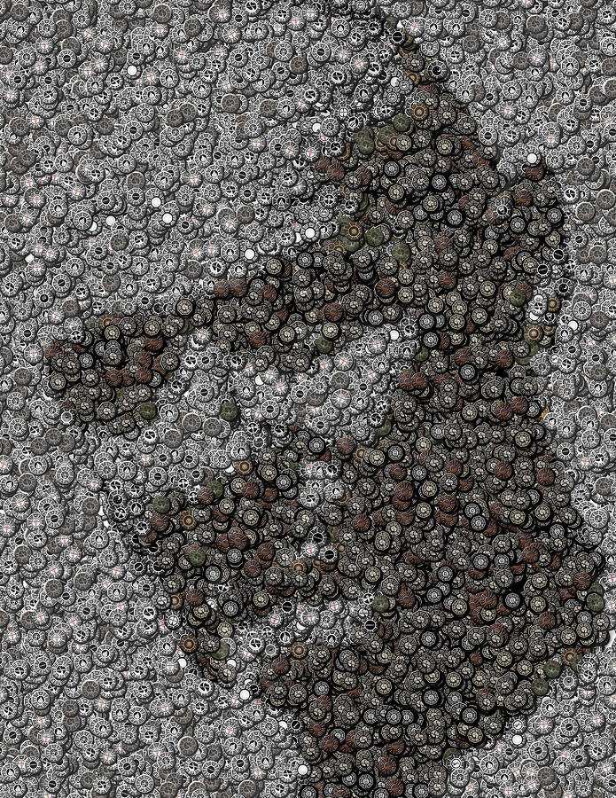 Lost Mixed Media - John Locke Dharma Button Mosaic by Paul Van Scott Lost Mixed Media - John Locke Dharma Button Mosaic by Paul Van Scott
