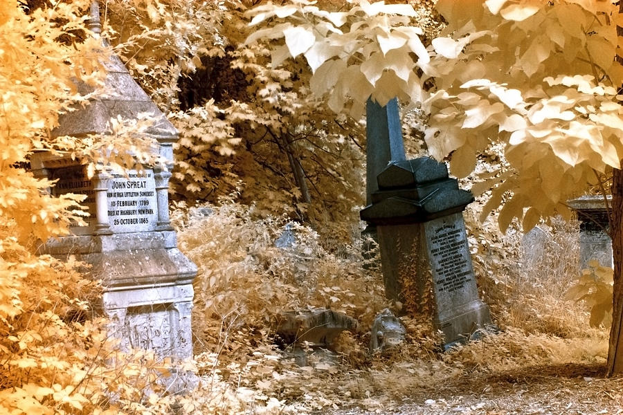 Autumnal walk at Abney Park cemetery Photograph by Helga Novelli