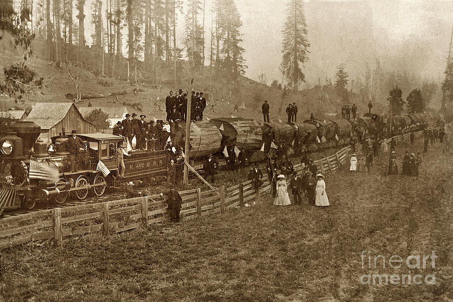 Locomotive Photograph - John Vances logging train, Humboldt  and Mad River Railroad circa 1880 by Monterey County Historical Society