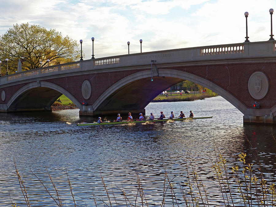John Weeks Bridge Harvard Square Chales River Sunset Rowers Photograph by Toby McGuire