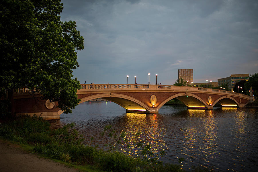 John Weeks Bridge Harvard Square Chales River Sunset Trees 2 Photograph by Toby McGuire
