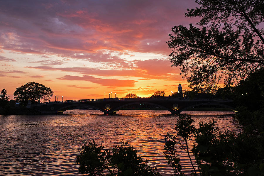 Cambridge Photograph - John Weeks Bridge Harvard Square Chales River Sunset Trees by Toby McGuire