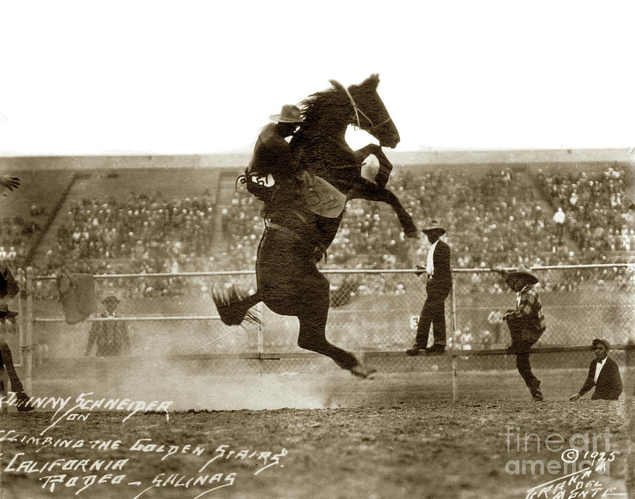 Rodeo Riding Photograph - Johnny Schneider  Climbing the Golden Stairs, California Rodeo, 1925 by Monterey County Historical Society