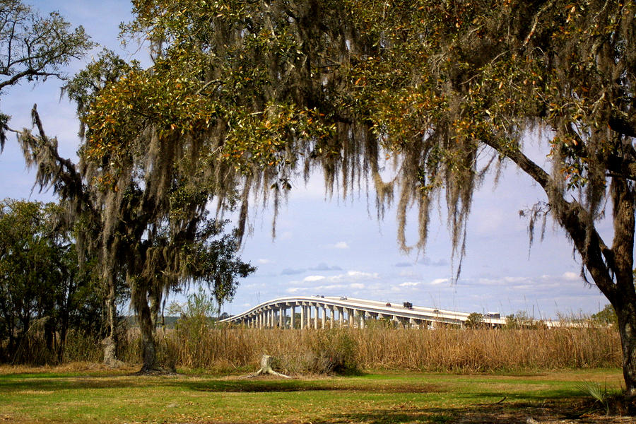 Johns Island Photograph by Jean Wolfrum