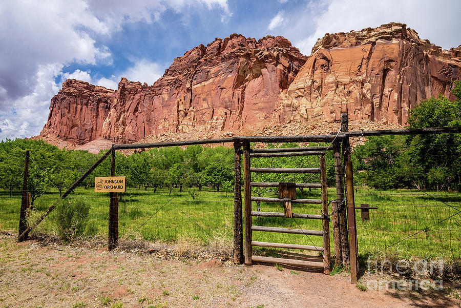 Johnson Orchard - Capitol Reef National Park - Utah Photograph by Gary Whitton