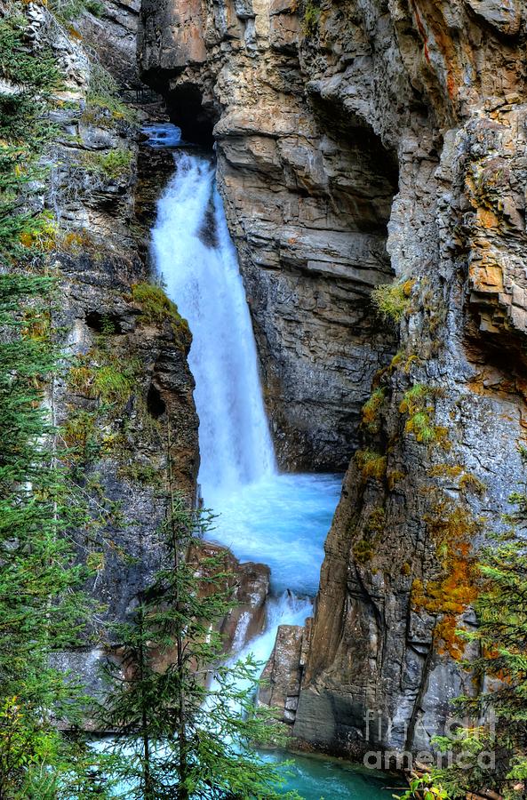 Johnston Canyon Falls Hike Upper Falls Photograph by Wayne Moran
