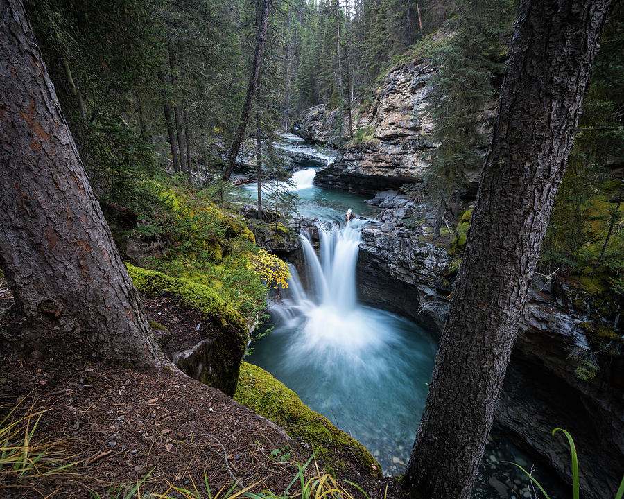 Banff National Park Photograph - Johnston Canyon Waterfall by James Udall