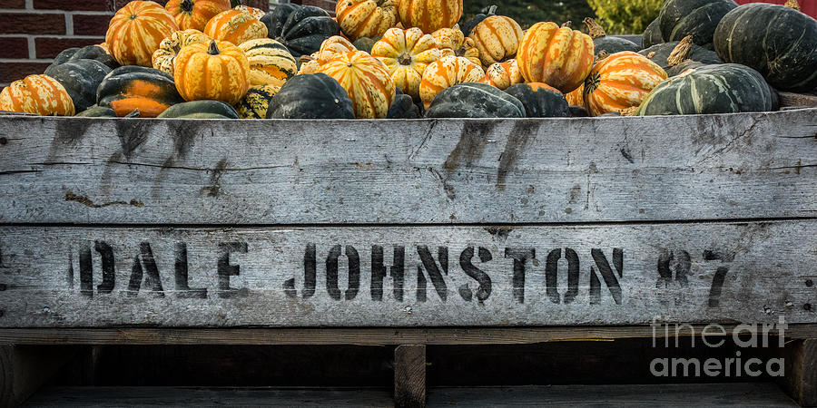 Johnston Fruit Farms Photograph by Michael Arend