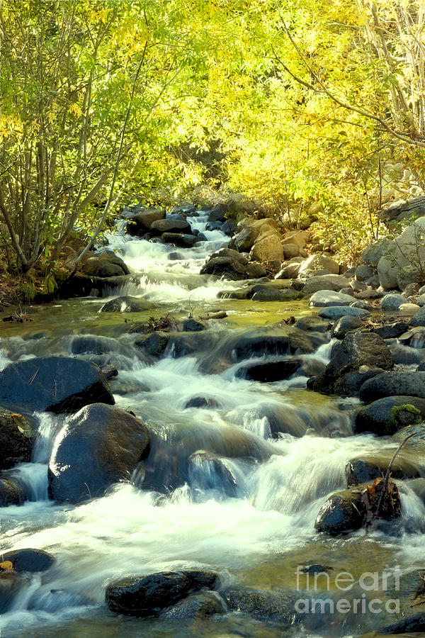 Jones Creek in Fall by Vinnie Oakes Jones Creek in Fall by Vinnie Oakes