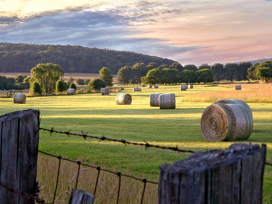 Huntsville Photograph - Jones Farm Hay Bales by Jeannee Gannuch