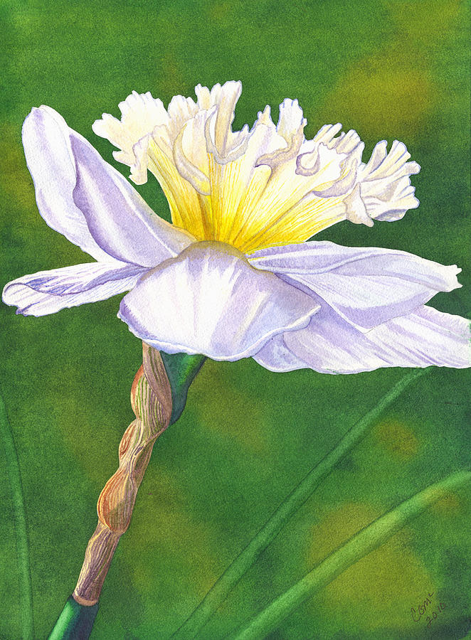 Jonquil Painting by Catherine G McElroy