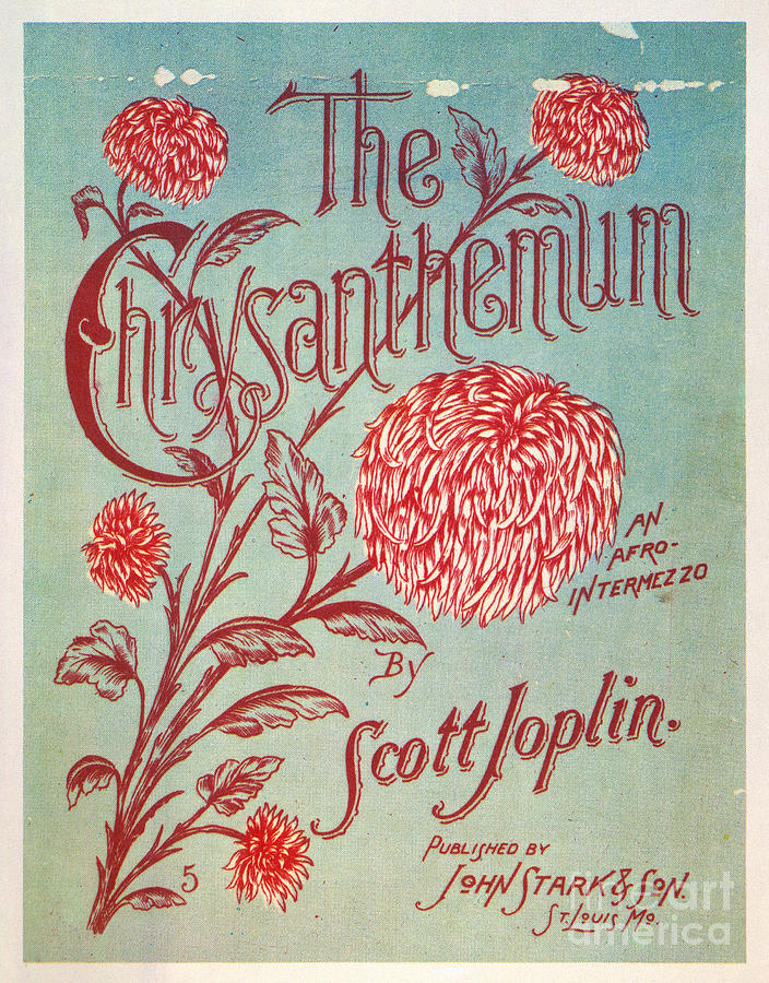 Joplin: Chrysanthemum Photograph by Granger Joplin: Chrysanthemum Photograph by Granger
