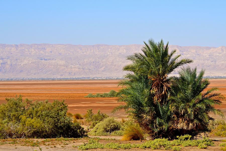 Jordan Dead Sea Valley Photograph by Carol Sheli Cantrell