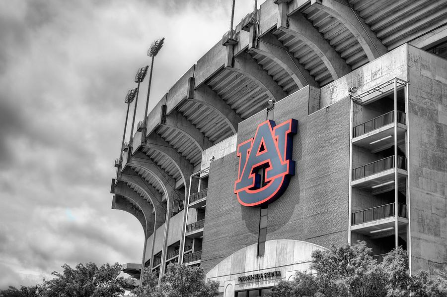 Jordan Hare Photograph by JC Findley