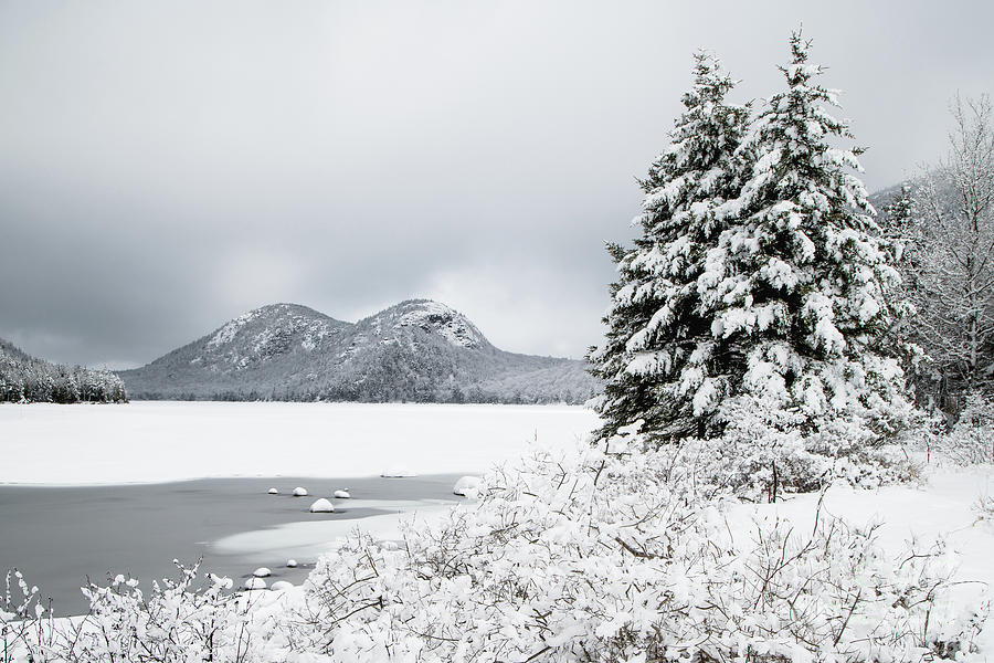 Jordan Pond and the Bubbles in Winter Photograph by Benjamin Williamson